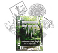 Haudenosaunee Culture through Art & Design: Book 1