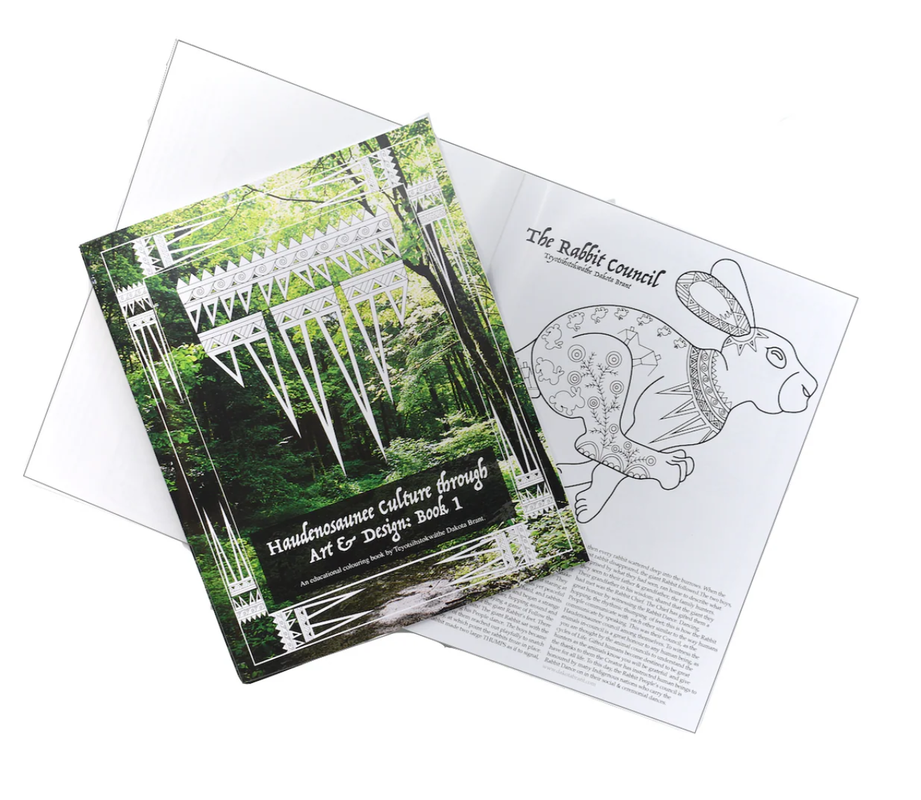 Haudenosaunee Culture through Art & Design: Book 1