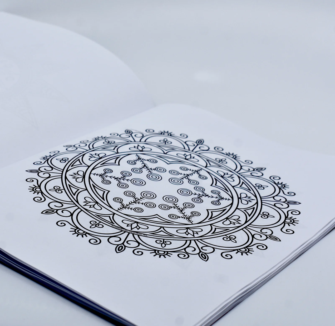 That Mohawk Mandala colouring book